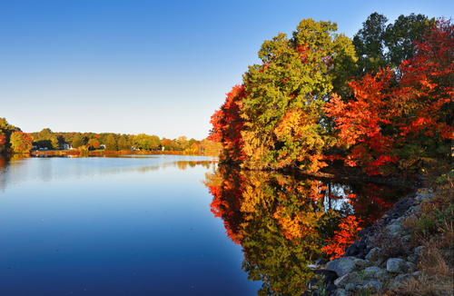 image of New England highlighting reflection of fall foliage colors in water